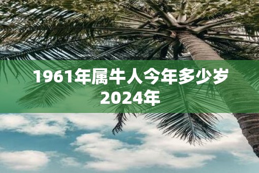 1961年属牛人今年多少岁2025年