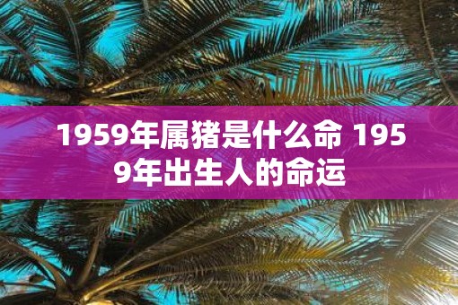 1959年属猪是什么命 1959年出生人的命运