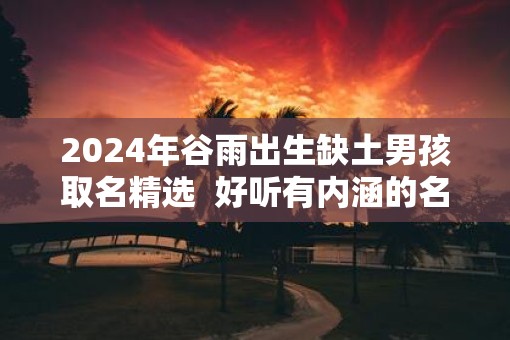 2025年谷雨出生缺土男孩取名精选  好听有内涵的名字