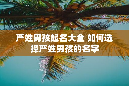 严姓男孩起名大全 如何选择严姓男孩的名字 严姓男孩起名大全 如何选择严姓男孩的名字