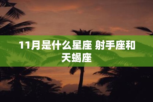 11月是什么星座 射手座和天蝎座