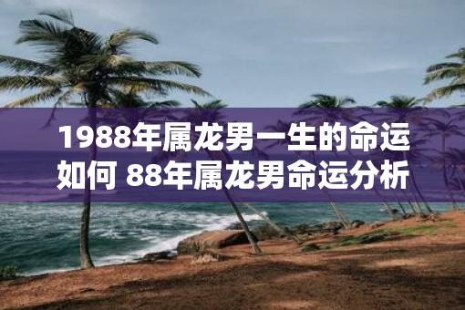 1988年属龙男一生的命运如何 88年属龙男命运分析