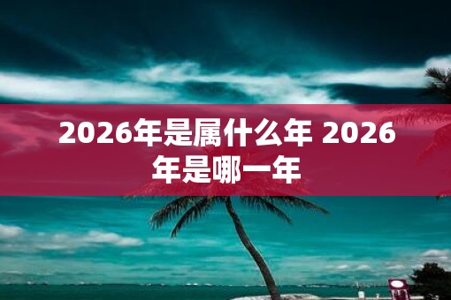 2026年是属什么年 2026年是哪一年