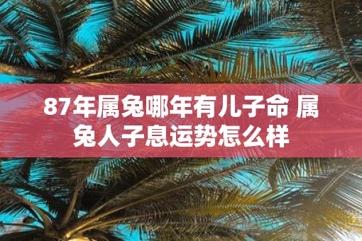 87年属兔哪年有儿子命 属兔人子息运势怎么样
