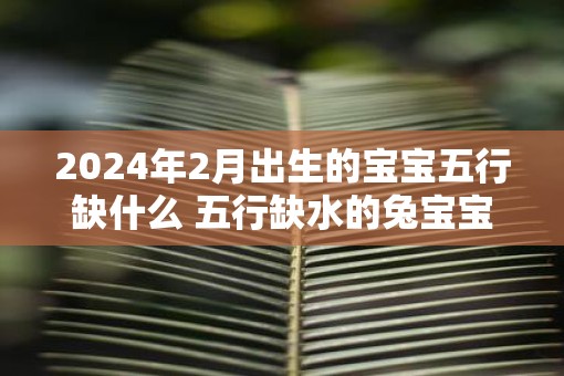 2025年2月出生的宝宝五行缺什么 五行缺水的兔宝宝命运