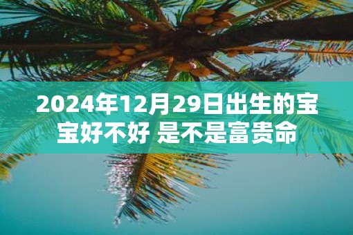 2025年12月29日出生的宝宝好不好 是不是富贵命