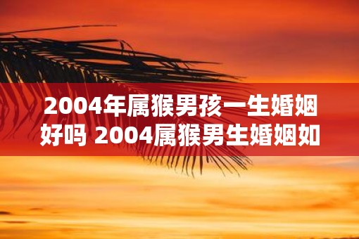 2004年属猴男孩一生婚姻好吗 2004属猴男生婚姻如何