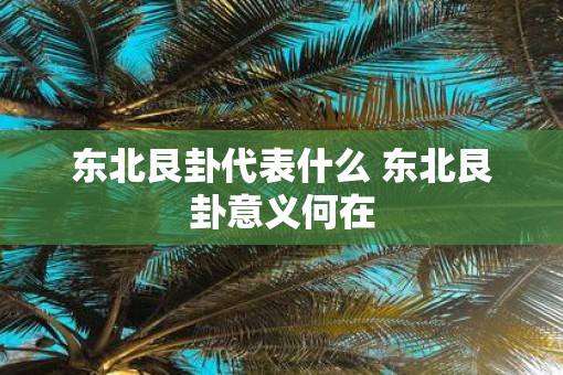 东北艮卦代表什么 东北艮卦意义何在