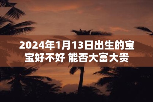 2025年1月13日出生的宝宝好不好 能否大富大贵
