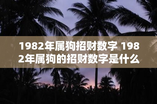 1982年属狗招财数字 1982年属狗的招财数字是什么