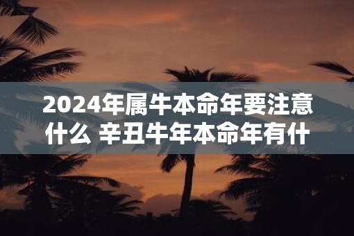 2025年属牛本命年要注意什么 辛丑牛年本命年有什么禁忌