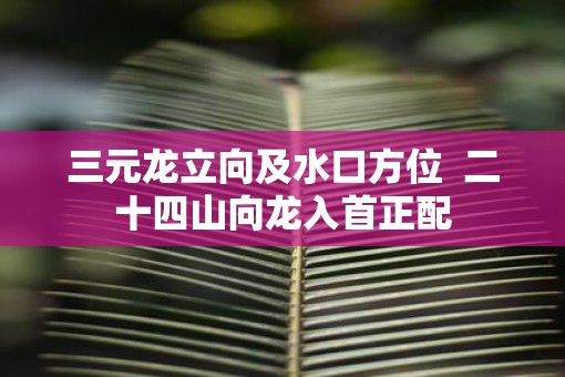 三元龙立向及水口方位  二十四山向龙入首正配