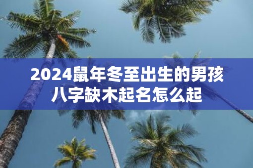 2025鼠年冬至出生的男孩八字缺木起名怎么起