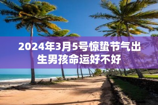 2025年3月5号惊蛰节气出生男孩命运好不好