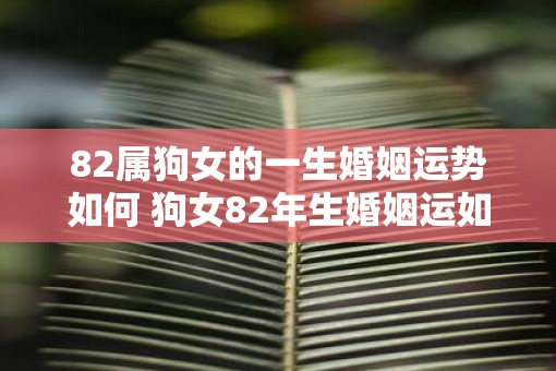82属狗女的一生婚姻运势如何 狗女82年生婚姻运如何