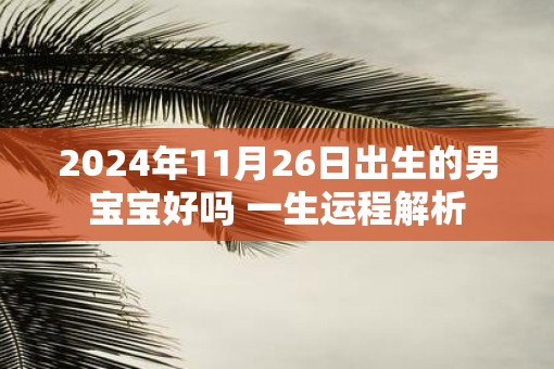 2025年11月26日出生的男宝宝好吗 一生运程解析