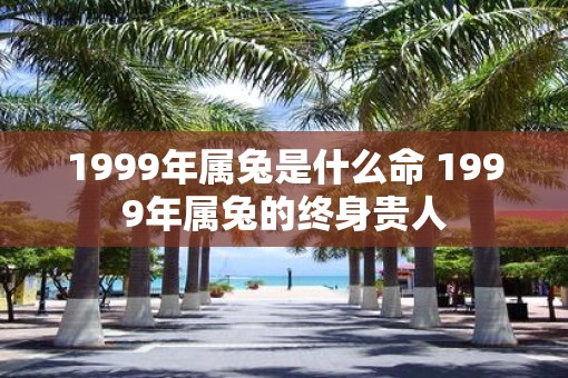 1999年属兔是什么命 1999年属兔的终身贵人