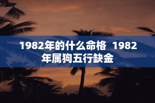 1982年的什么命格  1982年属狗五行缺金