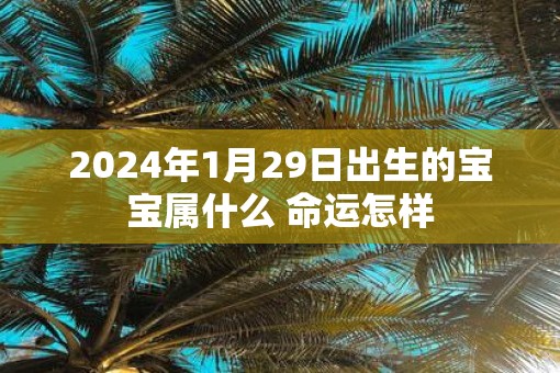 2025年1月29日出生的宝宝属什么 命运怎样