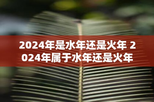 2025年是水年还是火年 2025年属于水年还是火年
