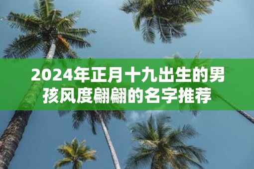 2025年正月十九出生的男孩风度翩翩的名字推荐