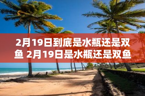 2月19日到底是水瓶还是双鱼 2月19日是水瓶还是双鱼