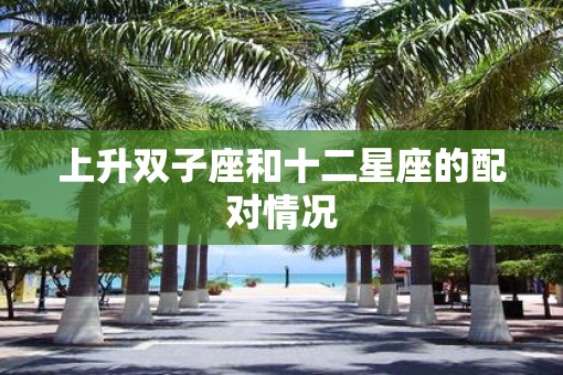 上升双子座和十二星座的配对情况