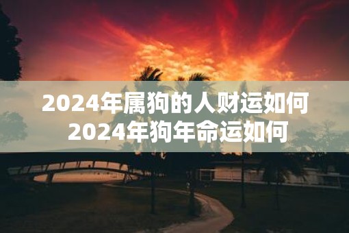 2025年属狗的人财运如何 2025年狗年命运如何