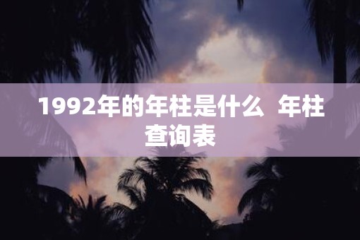 1992年的年柱是什么  年柱查询表