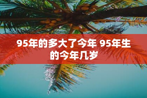 95年的多大了今年 95年生的今年几岁