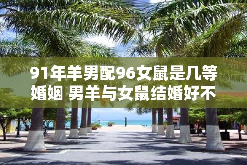 91年羊男配96女鼠是几等婚姻 男羊与女鼠结婚好不好