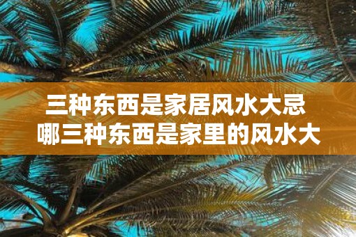 三种东西是家居风水大忌 哪三种东西是家里的风水大忌