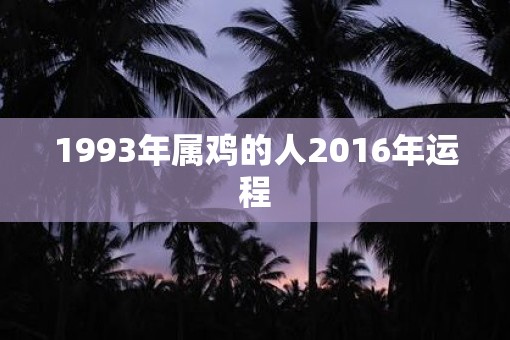 1993年属鸡的人2016年运程