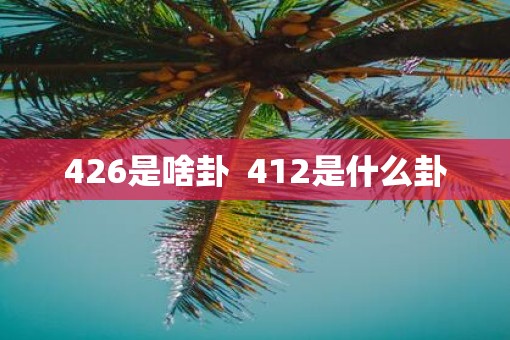 426是啥卦  412是什么卦