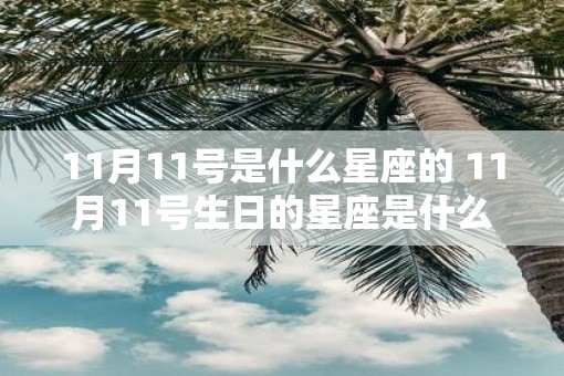 11月11号是什么星座的 11月11号生日的星座是什么