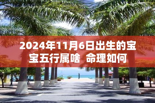 2025年11月6日出生的宝宝五行属啥 命理如何 2025年11月6日出生的宝宝五行属啥 命理如何