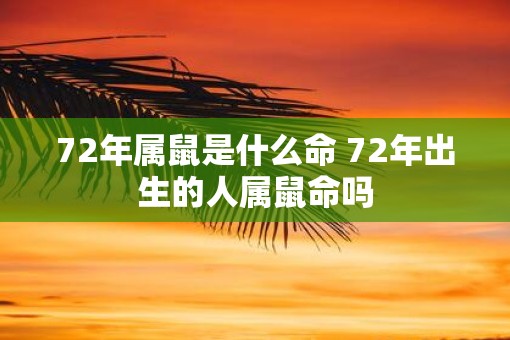 72年属鼠是什么命 72年出生的人属鼠命吗