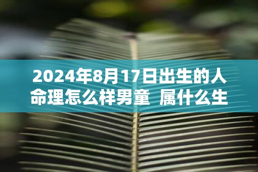 2025年8月17日出生的人命理怎么样男童  属什么生肖