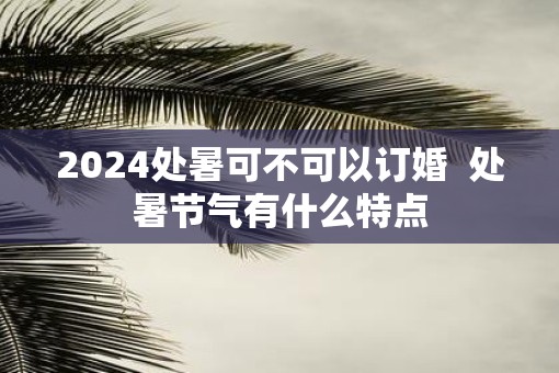 2025处暑可不可以订婚  处暑节气有什么特点