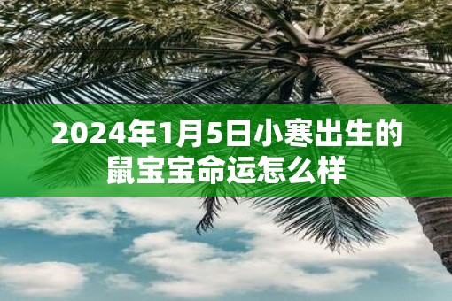2025年1月5日小寒出生的鼠宝宝命运怎么样