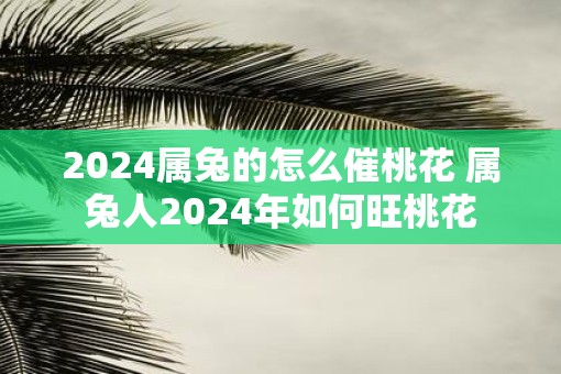 2025属兔的怎么催桃花 属兔人2025年如何旺桃花