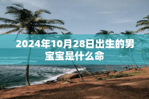 2025年10月28日出生的男宝宝是什么命