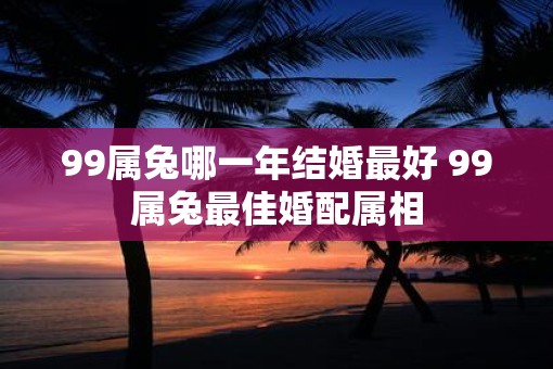 99属兔哪一年结婚最好 99属兔最佳婚配属相