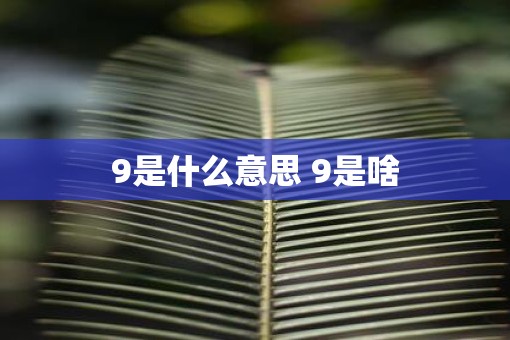 9是什么意思 9是啥