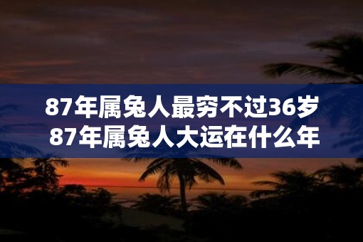 87年属兔人最穷不过36岁 87年属兔人大运在什么年