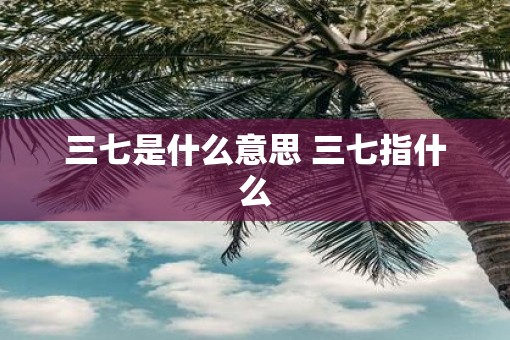 三七是什么意思 三七指什么