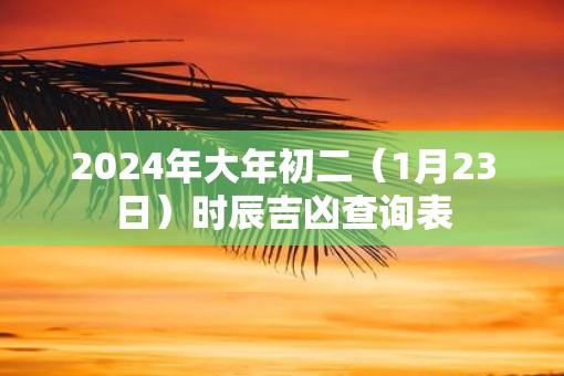 2025年大年初二（1月23日）时辰吉凶查询表