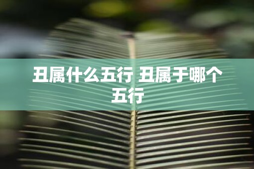丑属什么五行 丑属于哪个五行