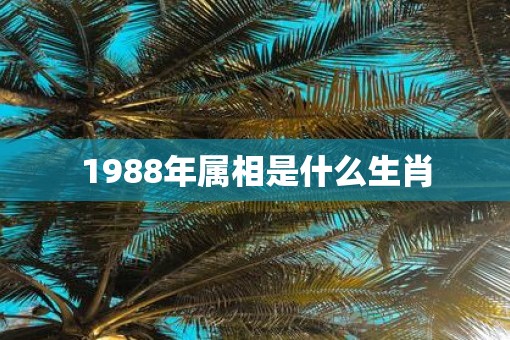 1988年属相是什么生肖