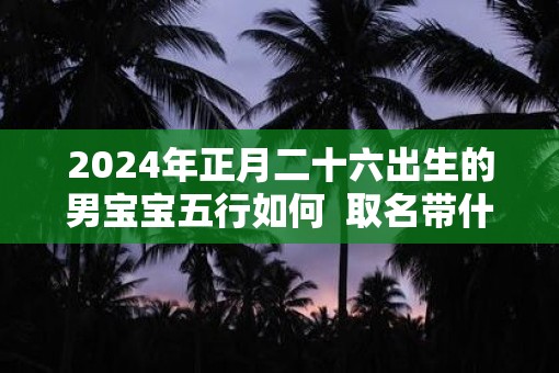 2025年正月二十六出生的男宝宝五行如何  取名带什么字好